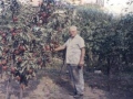 Imre bácsi a kertben